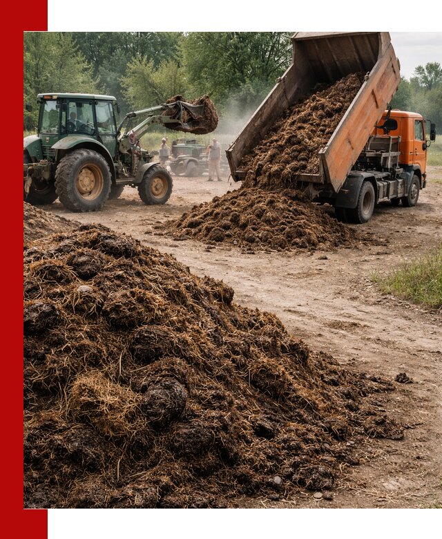 Доставка навоза самосвалами в Сочи для сельхозпотребностей