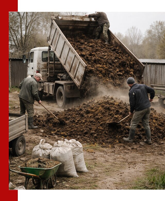 Доставка коровьего навоза самосвалом в Сочи